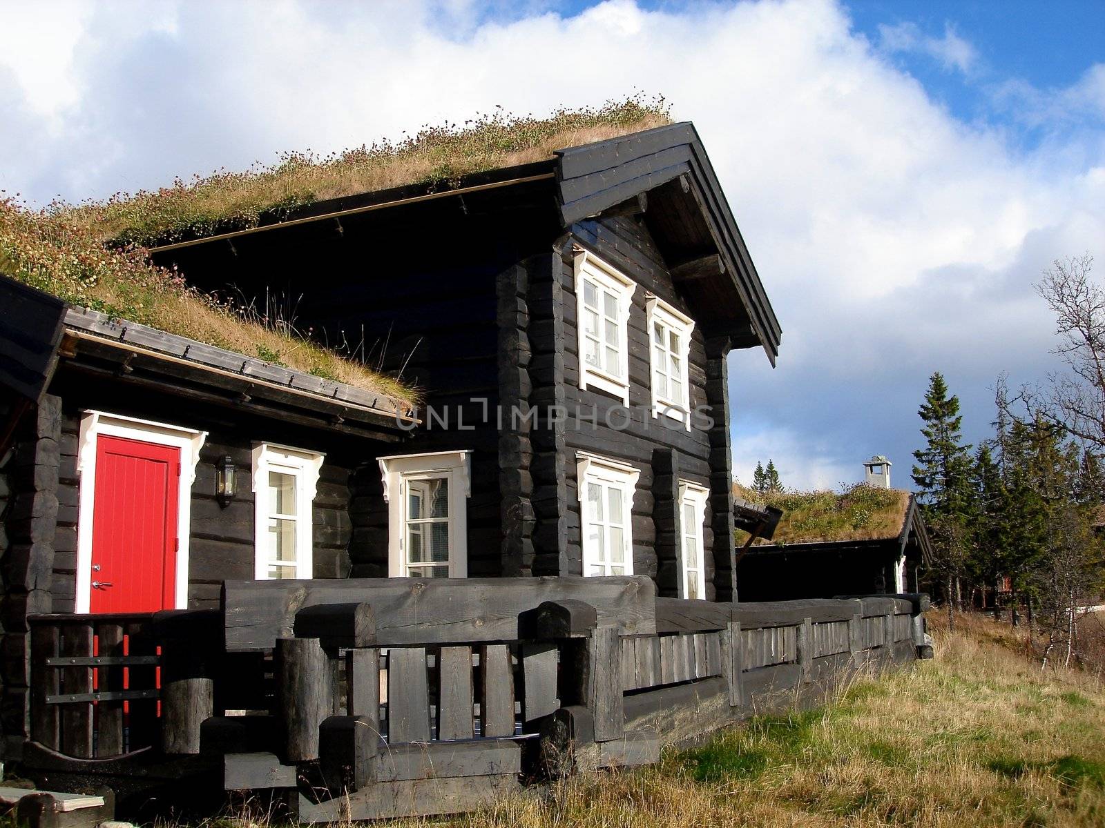 black wooden house. Please note: No negative use allowed.