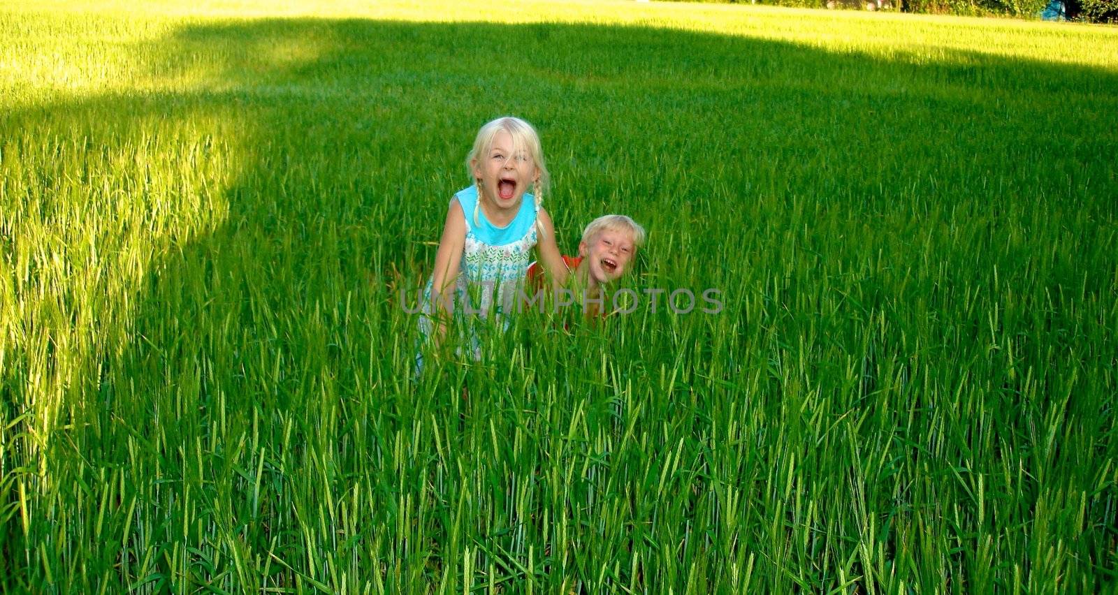 Scandinavian Lifestyle - children playing in the wheat field by Bildehagen