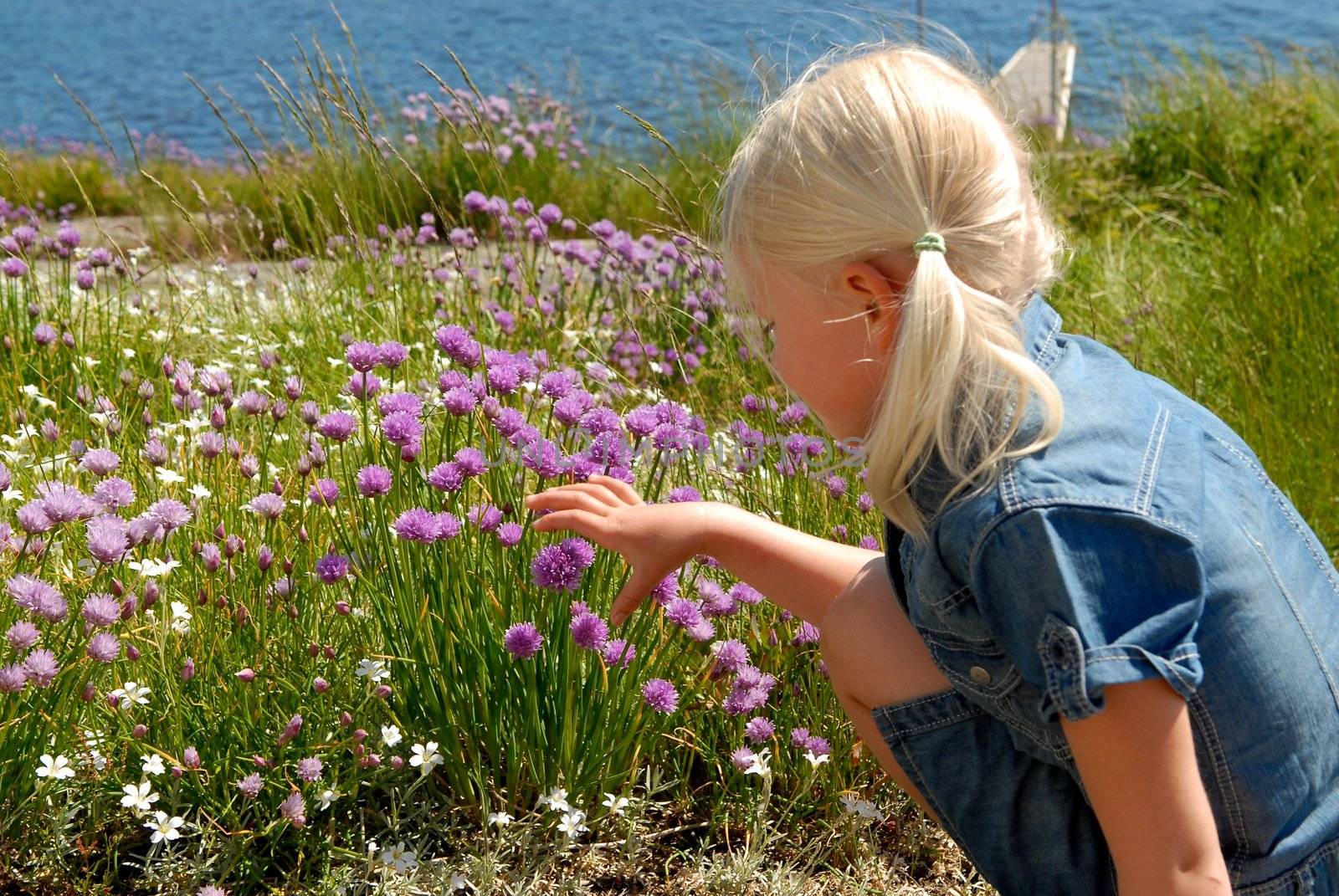 girl picking the flowers. Please note: No negative use allowed.