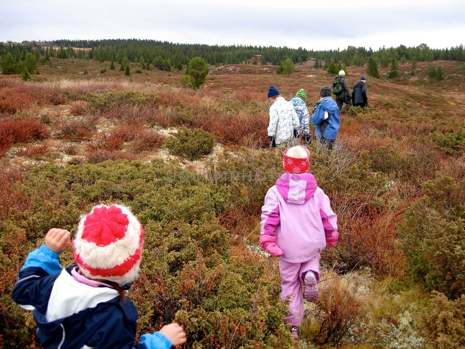 Scandinavian Lifestyle - hiking on the mountain top by Bildehagen