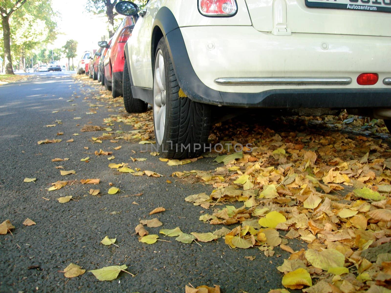 Scandinavian Lifestyle - parking cars and fallen leaves by Bildehagen