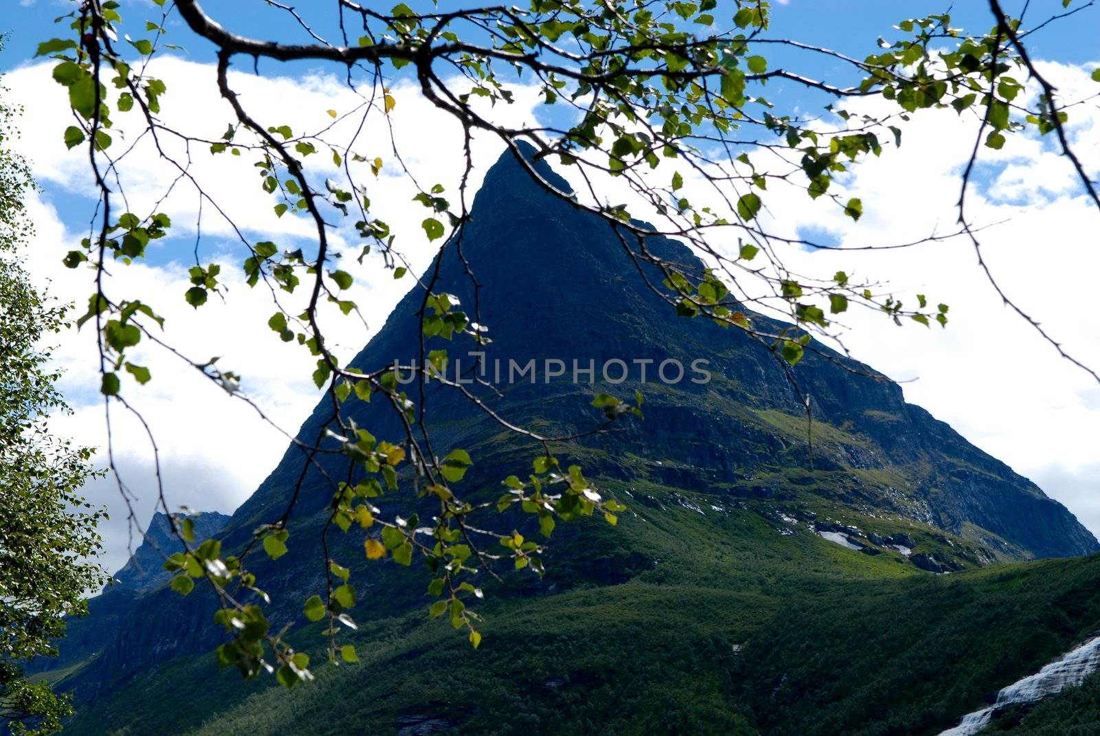 nature view of Norway. Innerdalstårnet.