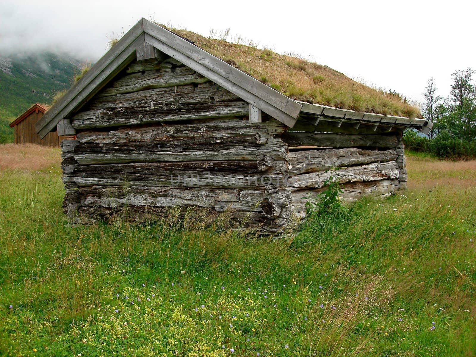 wooden cabin in the wild. Please note: No negative use allowed.