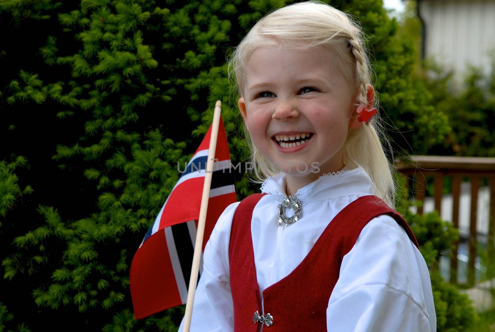 Scandinavian Lifestyle - Constitution Day by Bildehagen