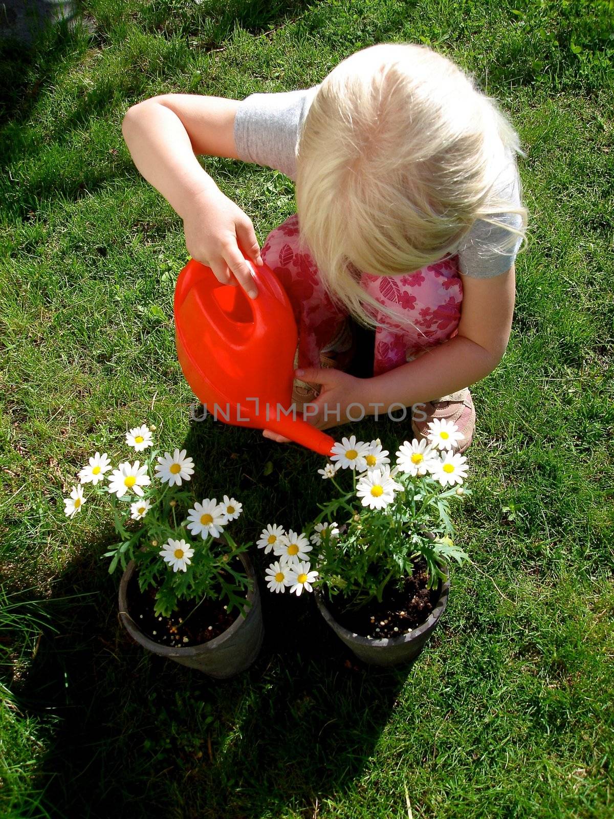 Scandinavian Lifestyle - little girl watering the flowers by Bildehagen