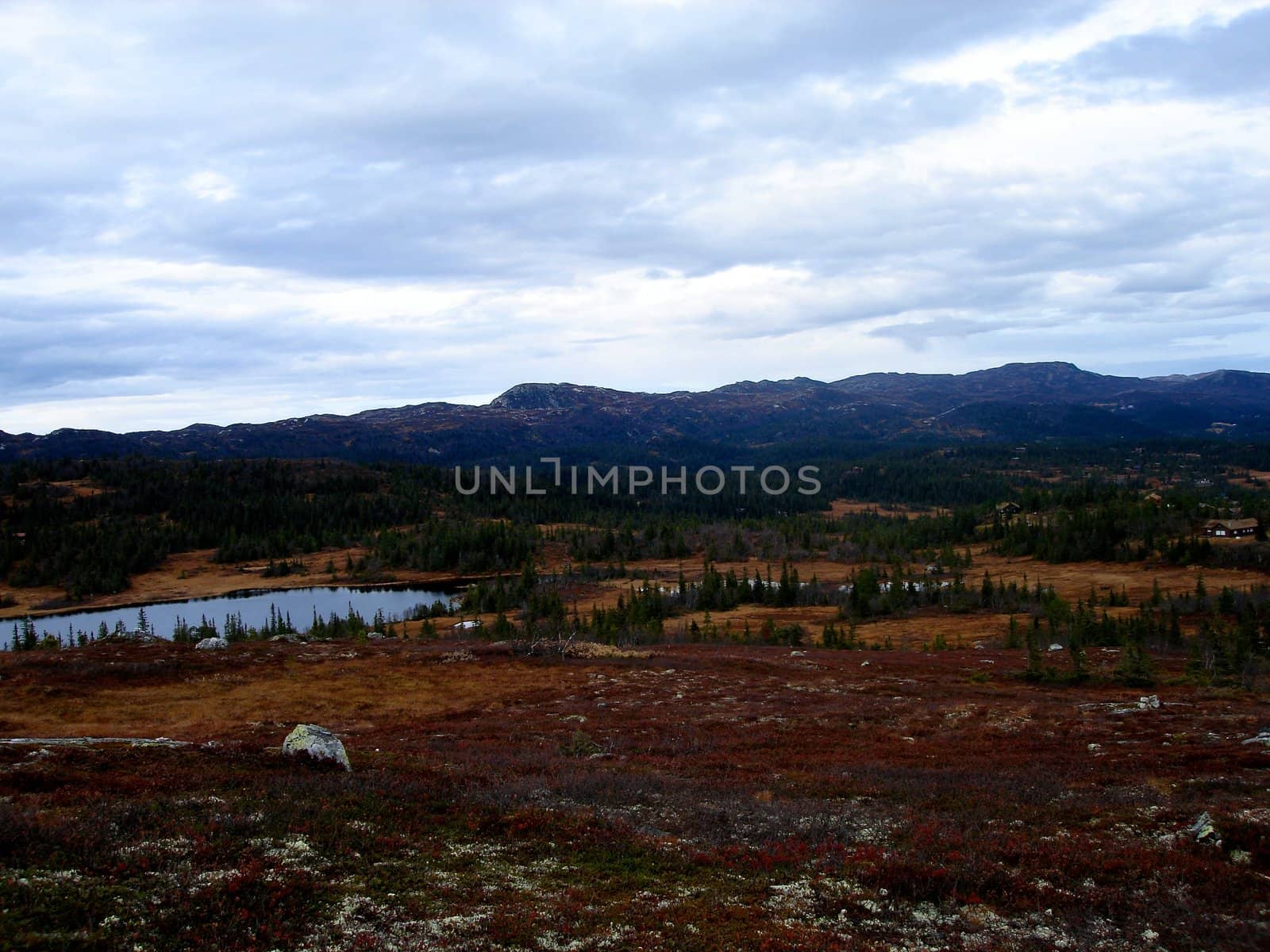 nature view in Norway. Please note: No negative use allowed.