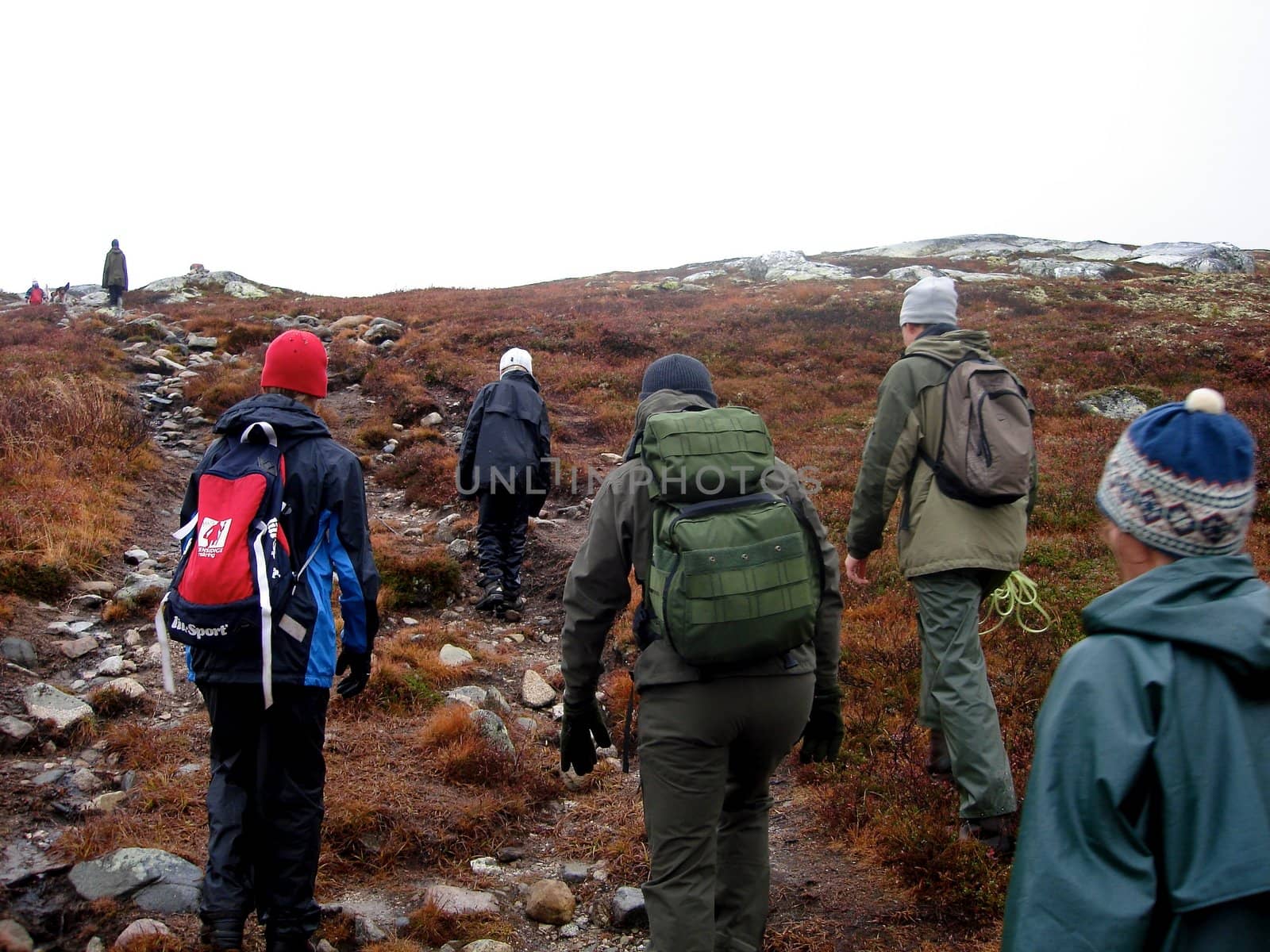 hiking on the mountain. Please note: No negative use allowed.