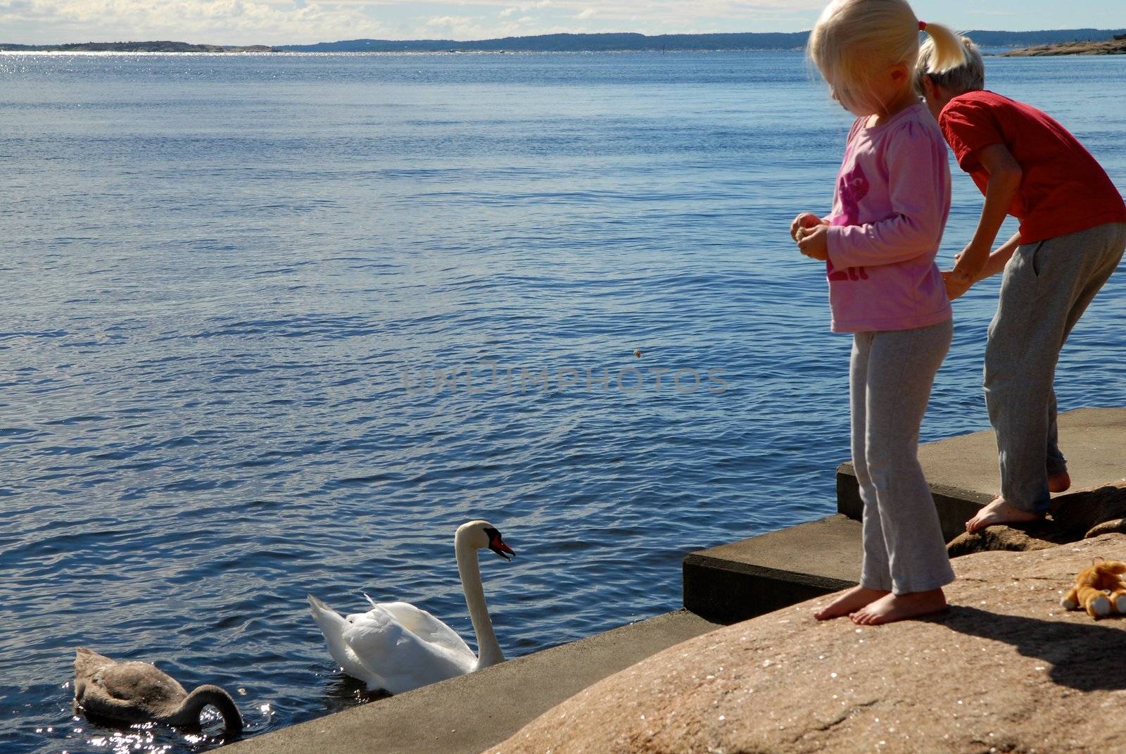 Scandinavian Lifestyle - children feeding the geese by Bildehagen