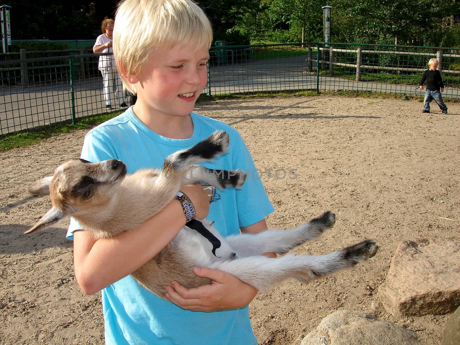 boy holding a goat. Please note: No negative use allowed.