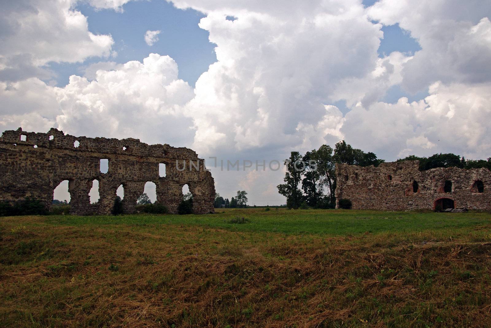 Ruins of a castle  by andrei_kolyvanov