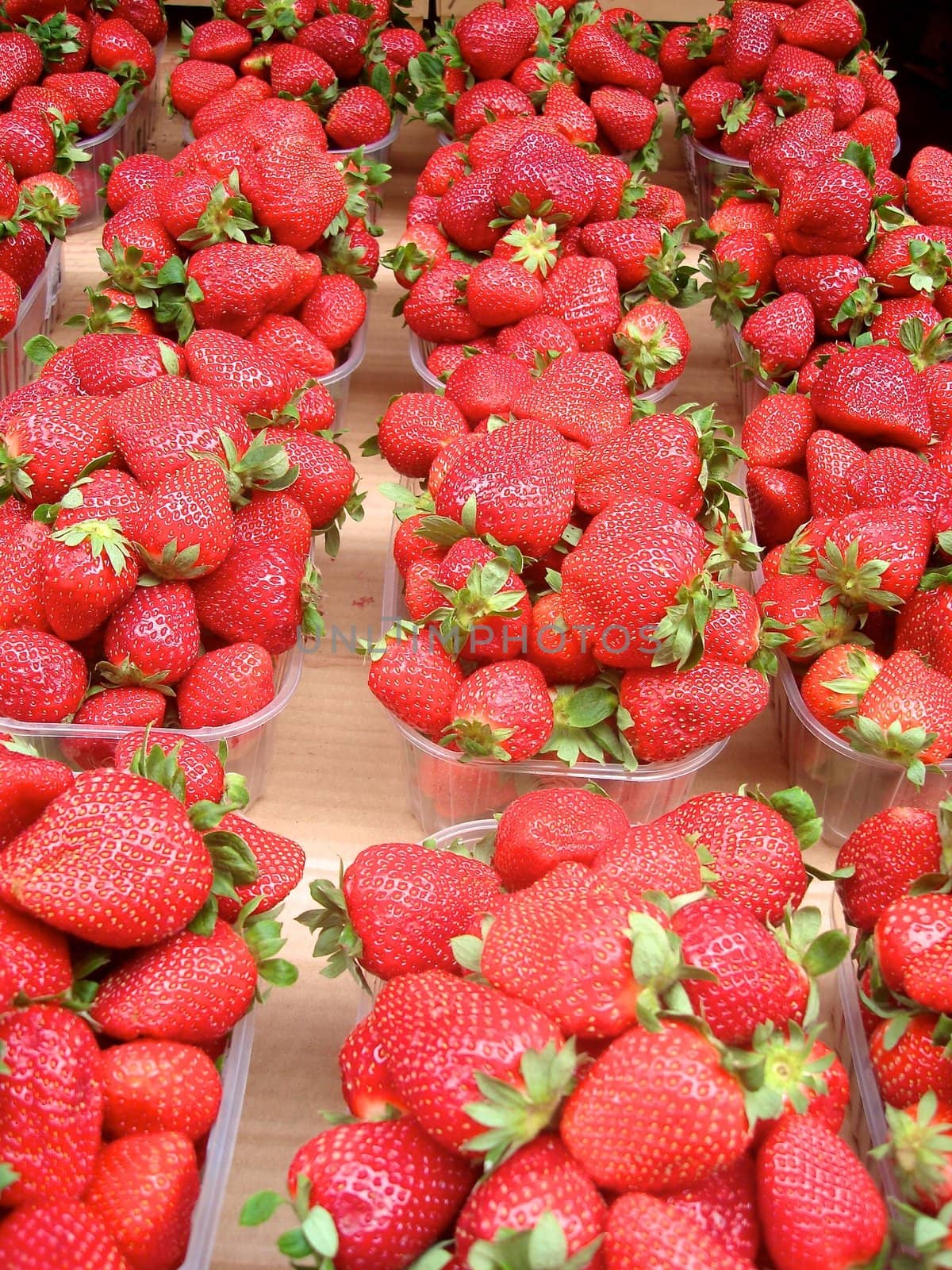 fresh strawberries. Please note: No negative use allowed.