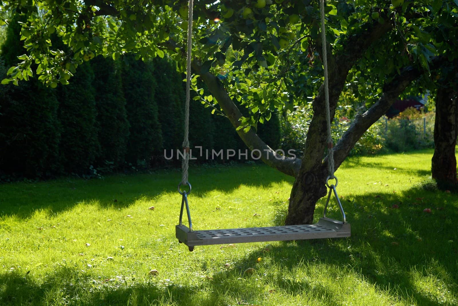 swing in the garden. Please note: No negative use allowed.