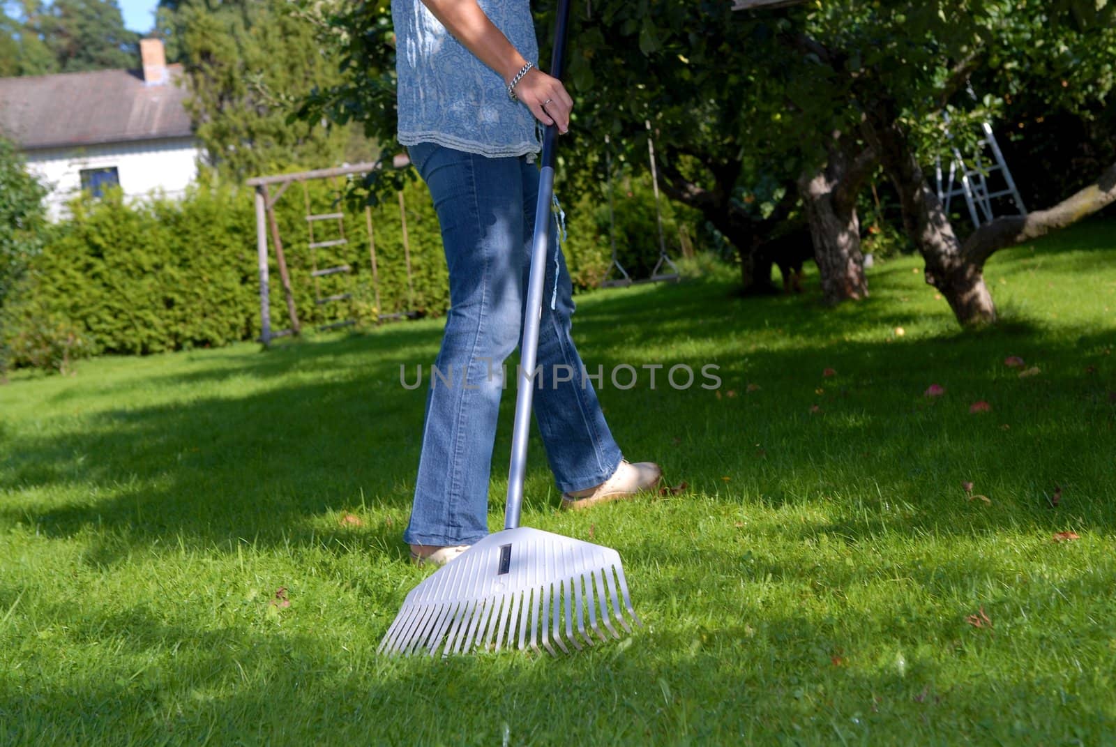 clean the garden. Please note: No negative use allowed.