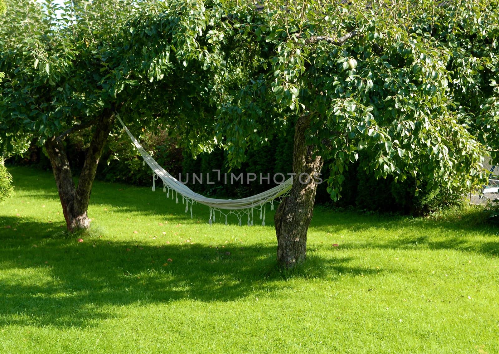 hammock in the garden. Please note: No negative use allowed.