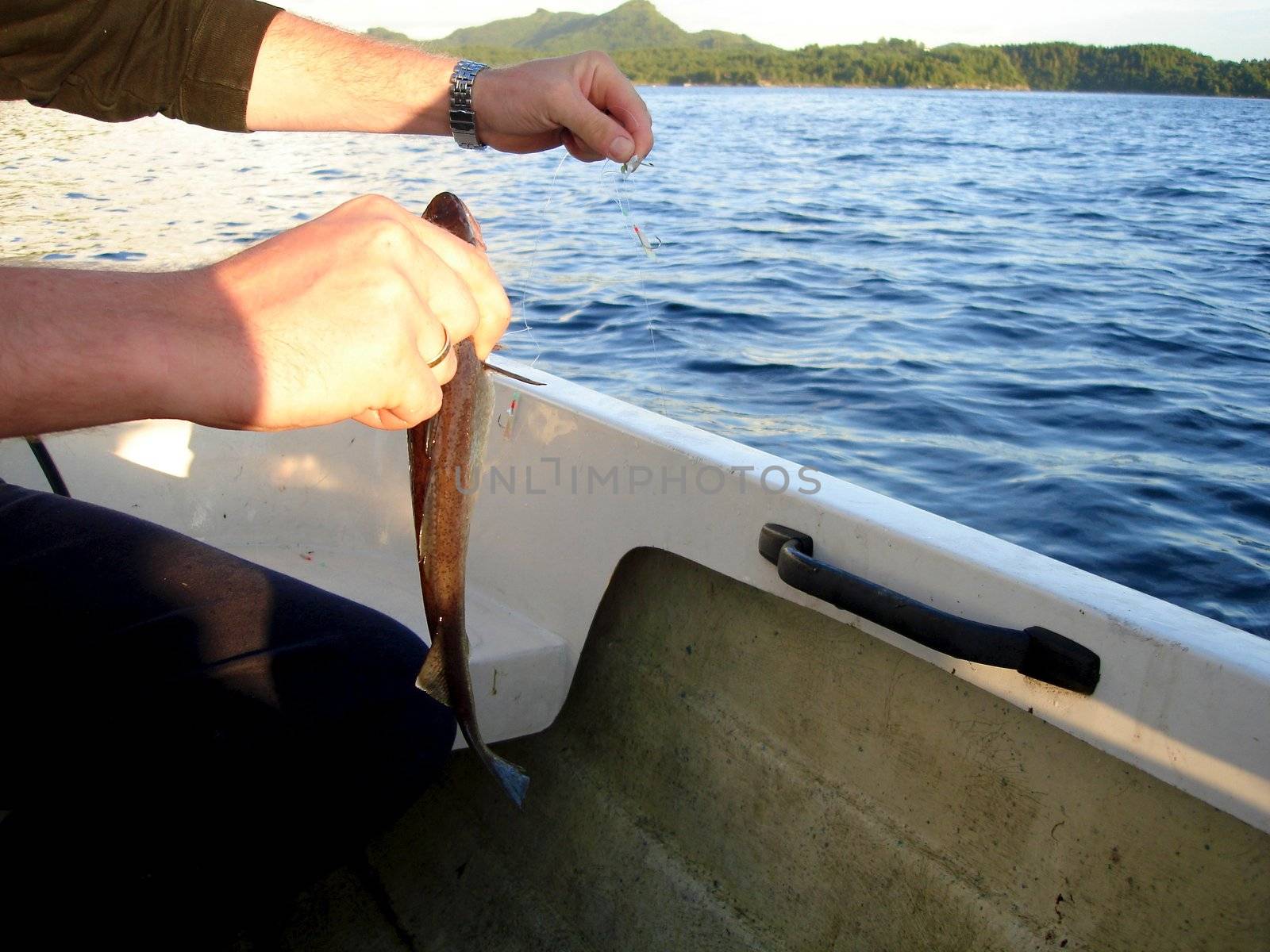 fishing on the sea. Please note: No negative use allowed.