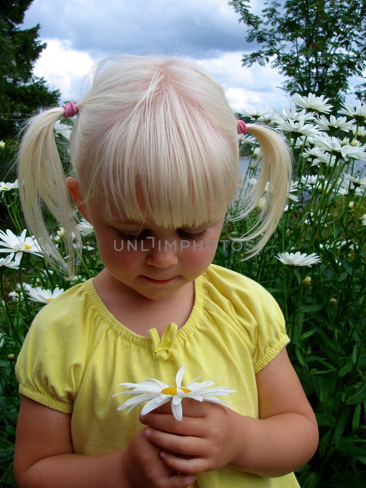 girl picking the flowers. Please note: No negative use allowed.