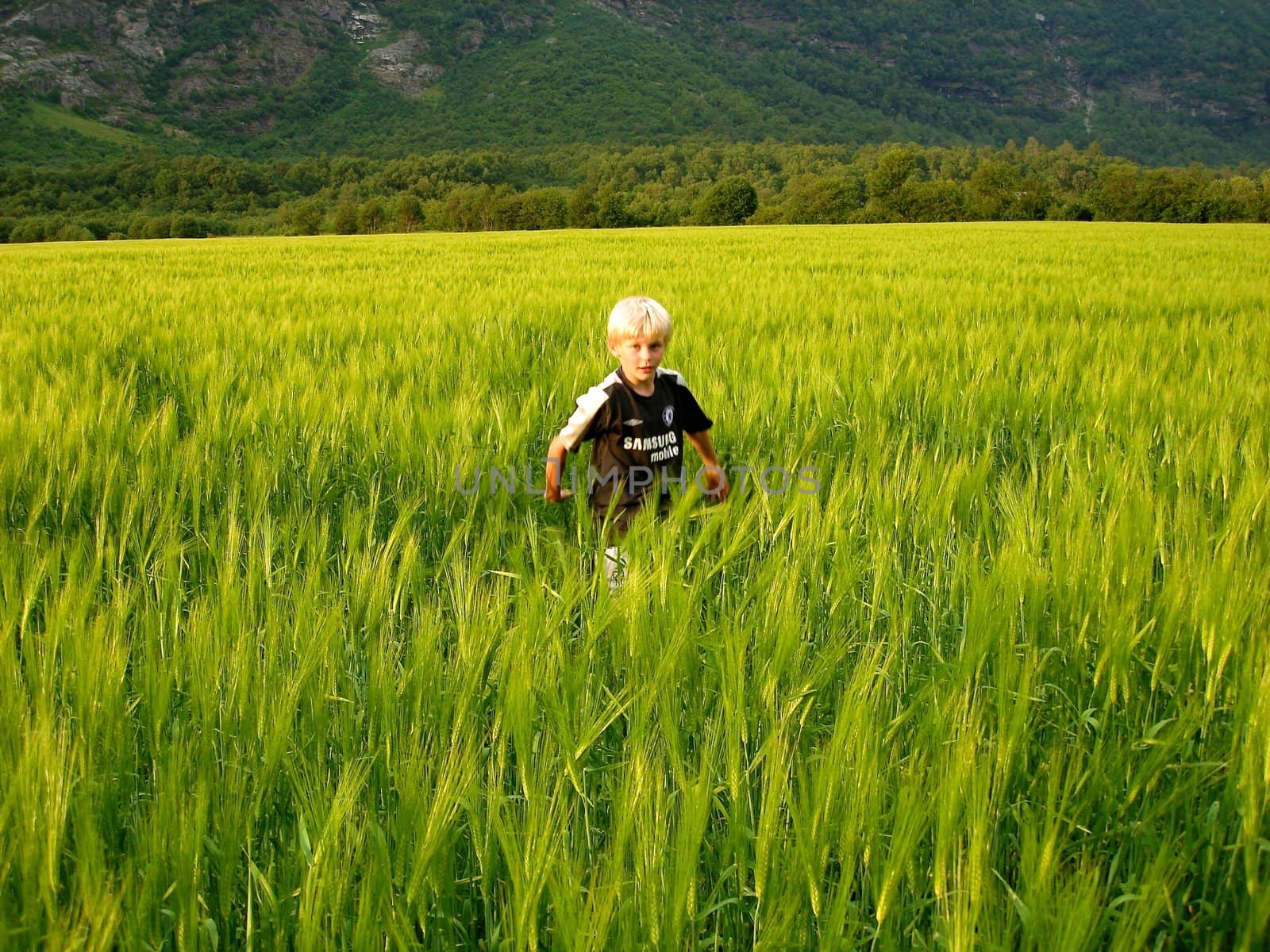 boy playing in the wheat field. Please note: No negative use allowed.