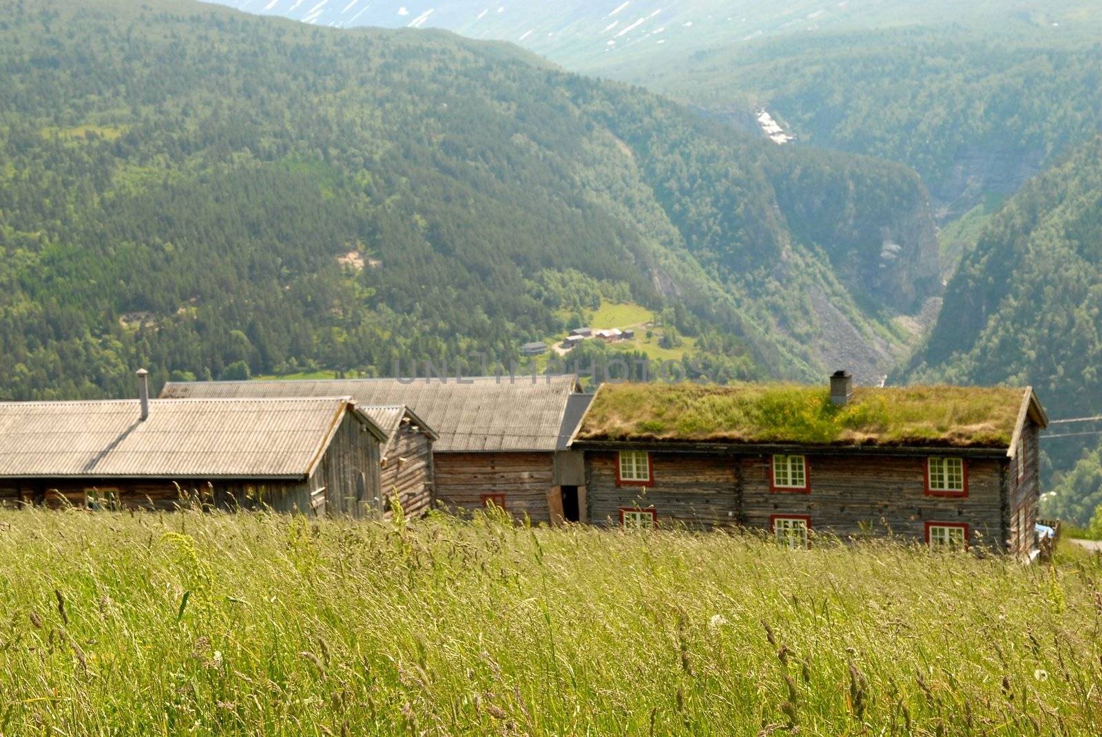 cabins on the mountain. Please note: No negative use allowed.
