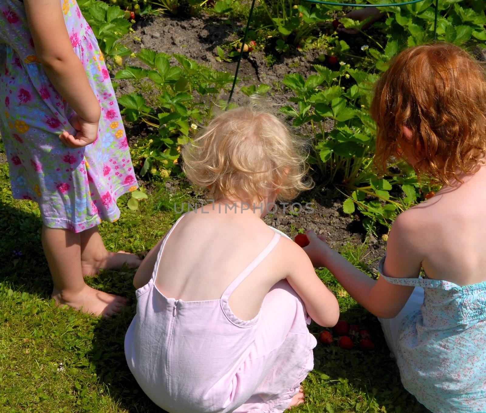 Scandinavian Lifestyle - girls making the strawberry string by Bildehagen