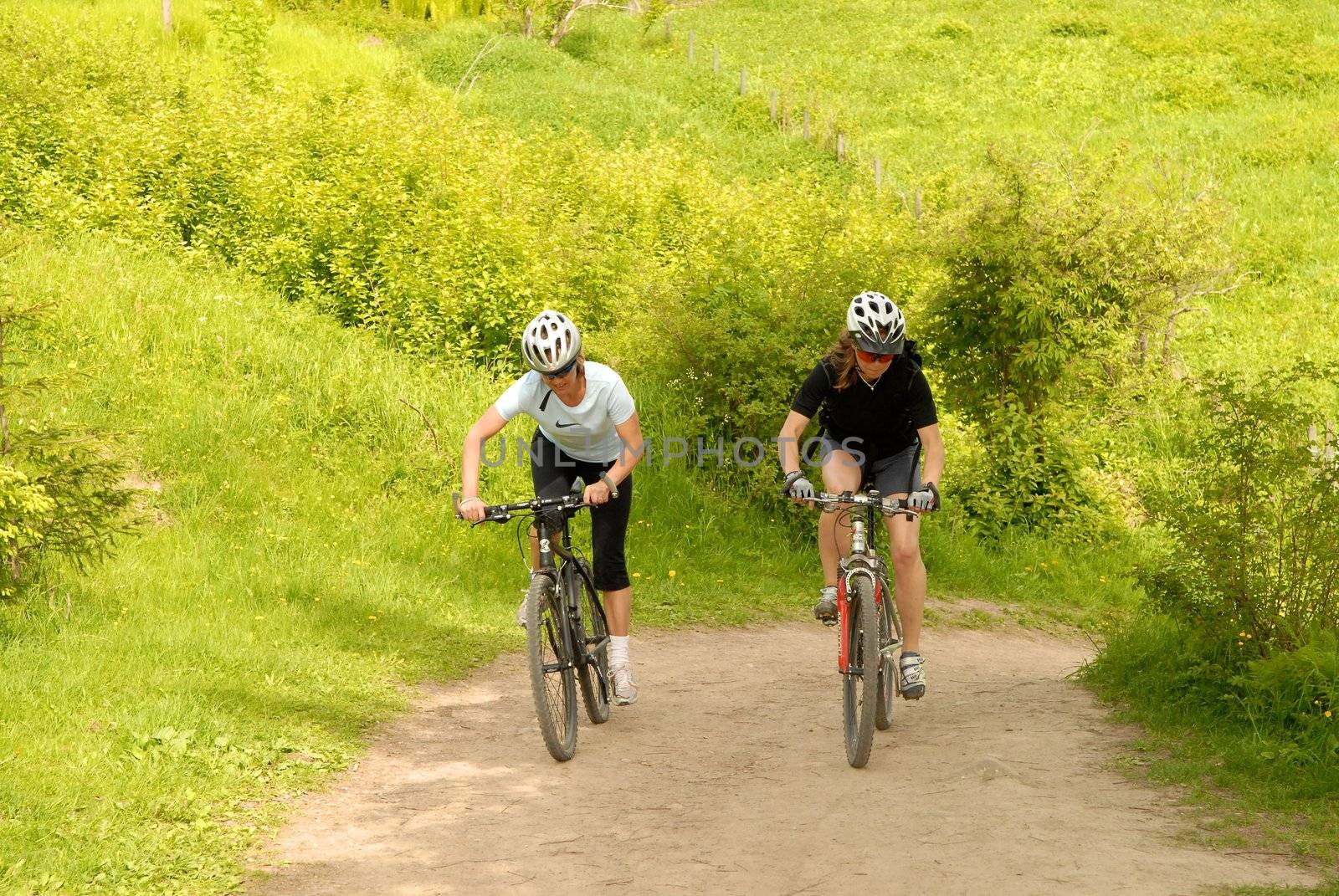 biking in the wild. Please note: No negative use allowed.