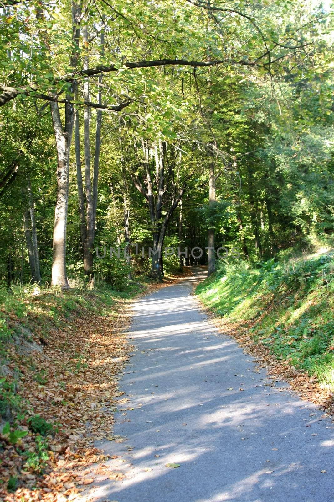 Park path