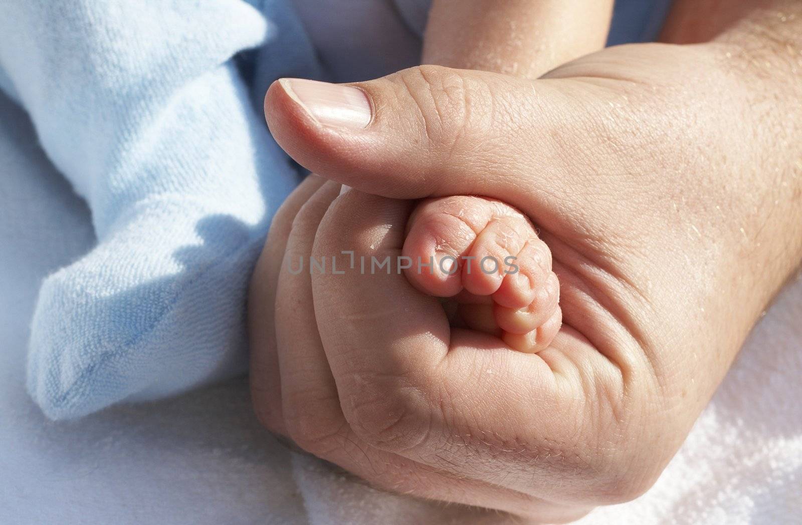 Father holding his baby's foot in his hand. Showing the size of the baby comparative to his parent