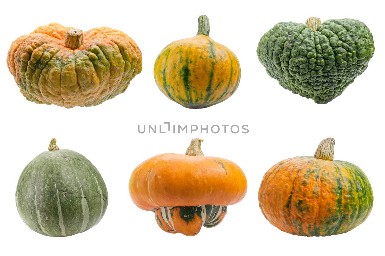 Miscellaneous pumpkins isolated on white background. Both pumpkins are ecological and natural, grew in rural garden. 