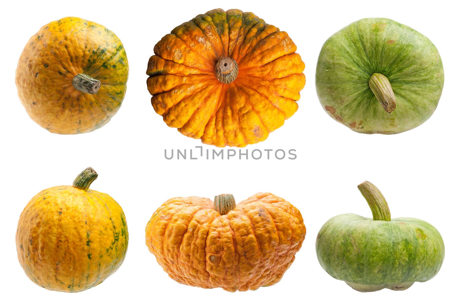 Miscellaneous pumpkins isolated on white background. Both pumpkins are ecological and natural, grew in rural garden. 