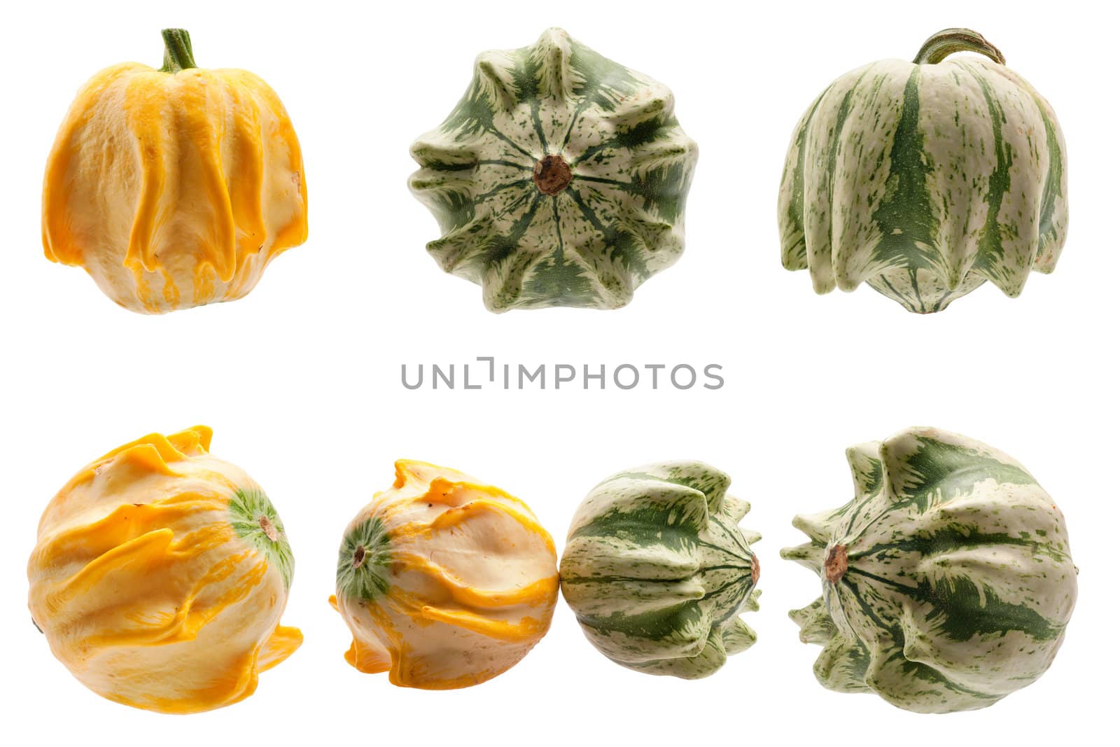 Miscellaneous pumpkins isolated on white background. Both pumpkins are ecological and natural, grew in rural garden. 