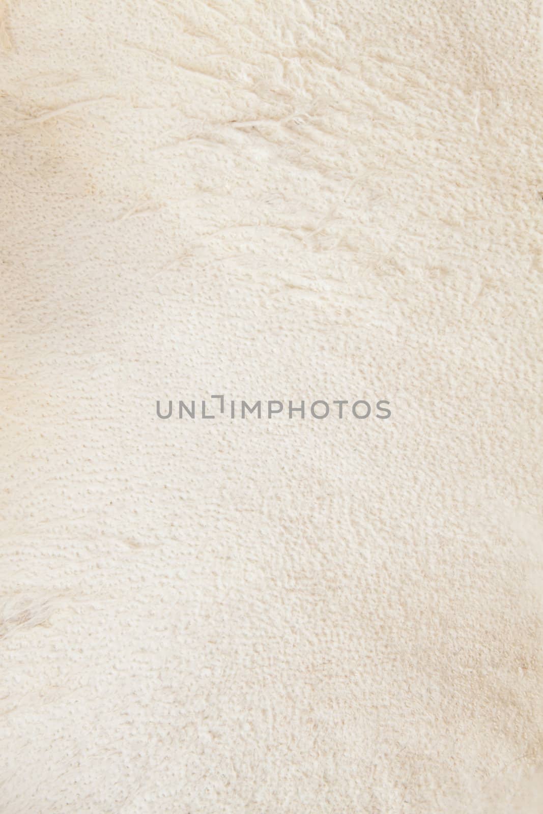 Soft beige leather of the two yeared fox. Textured background