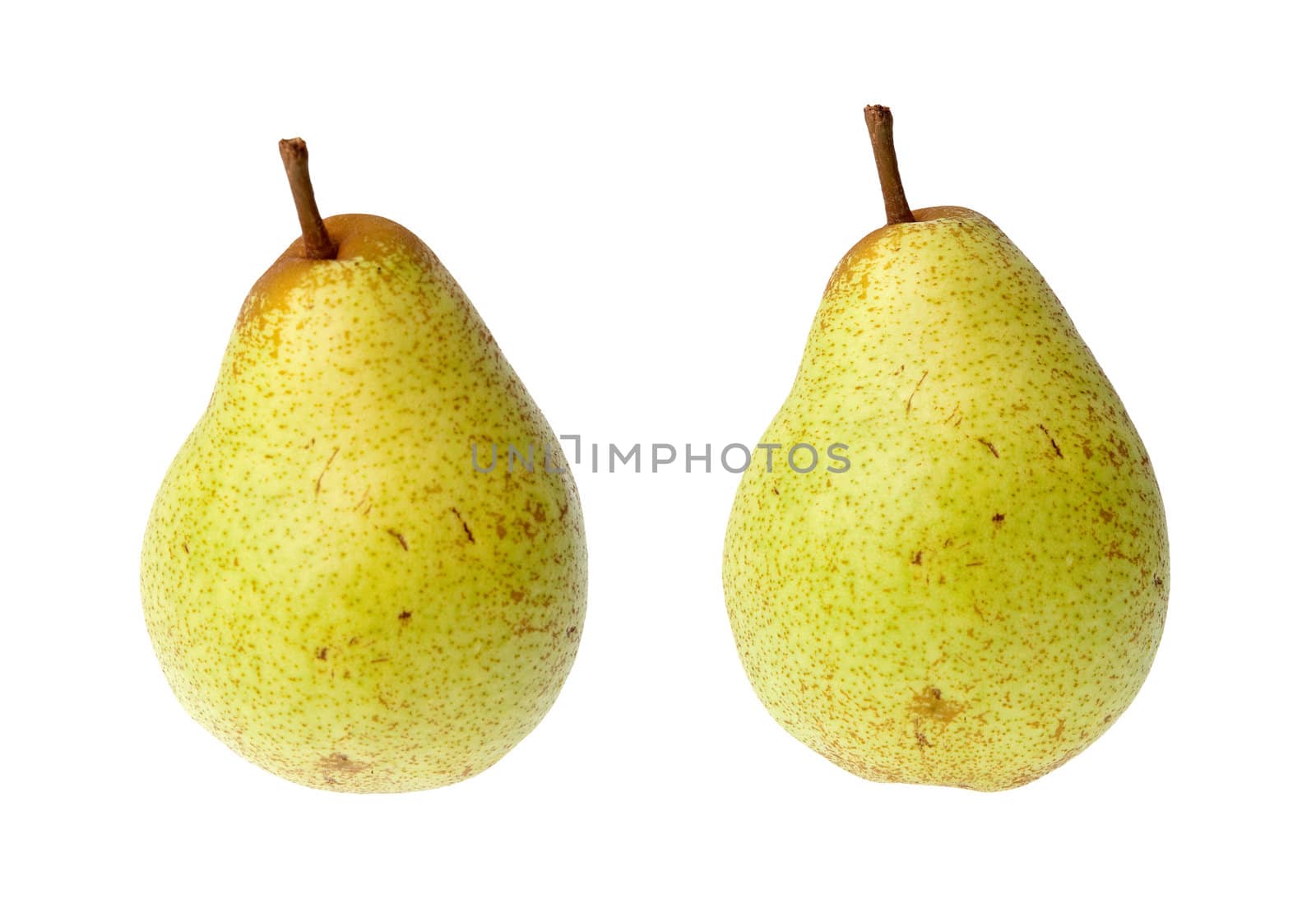 Two pears isolated on white background.