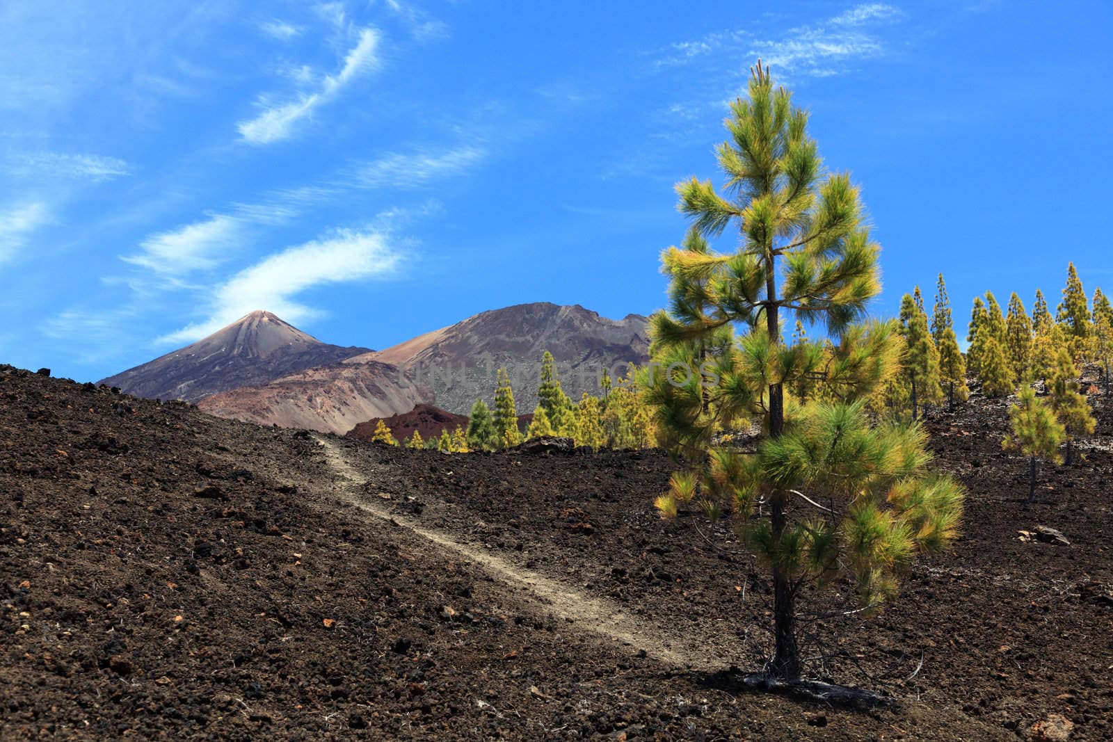Tenerife hiking path on volcano teide. Arenas Negras landscape.