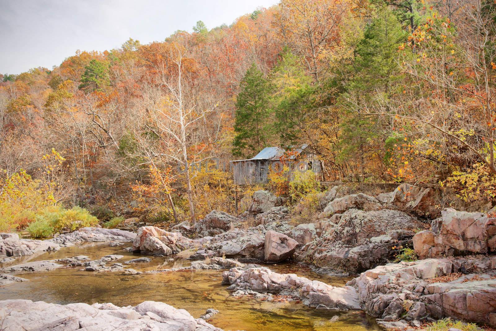 old settlers cabin in the forest in missouri