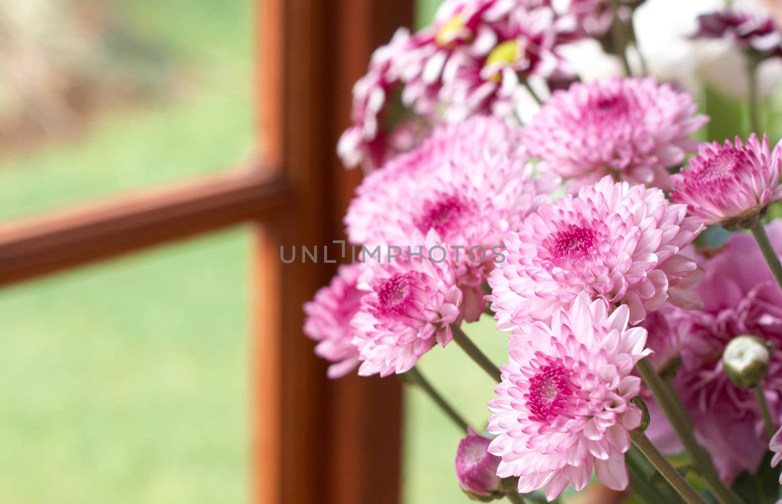 Bouquet of beautiful pink flowers with copy space