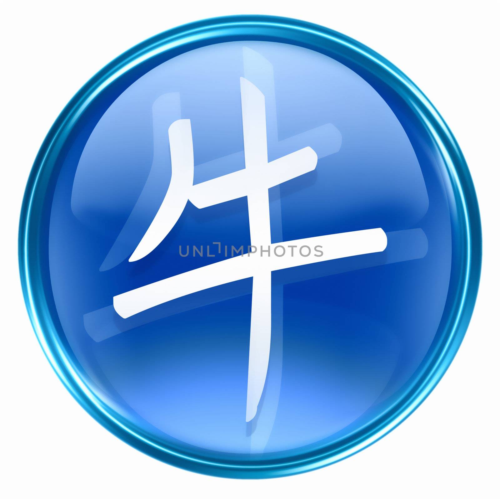 Ox Zodiac icon blue, isolated on white background.