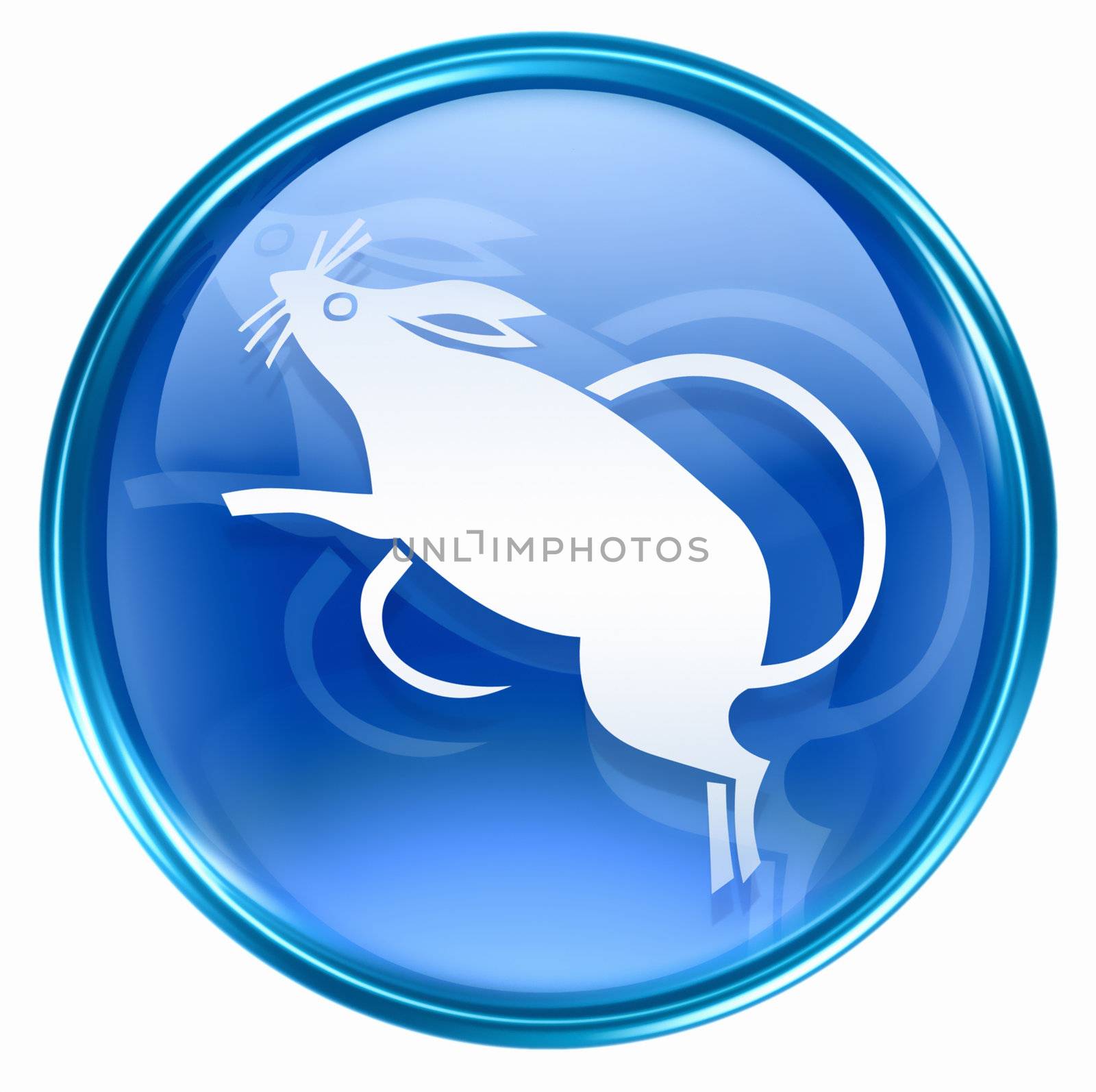 Rat Zodiac icon blue, isolated on white background. by zeffss