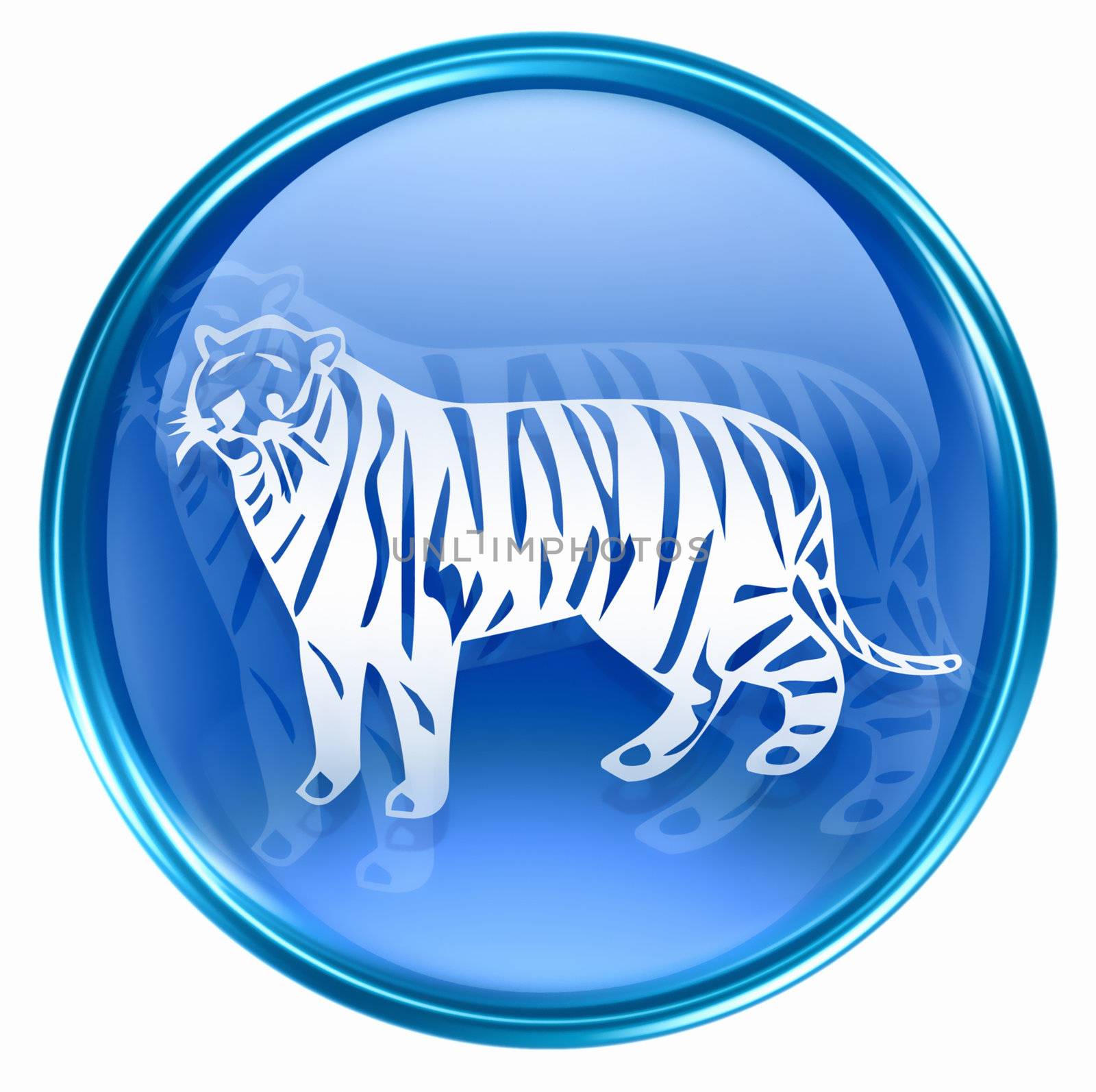 Tiger Zodiac icon blue, isolated on white background.