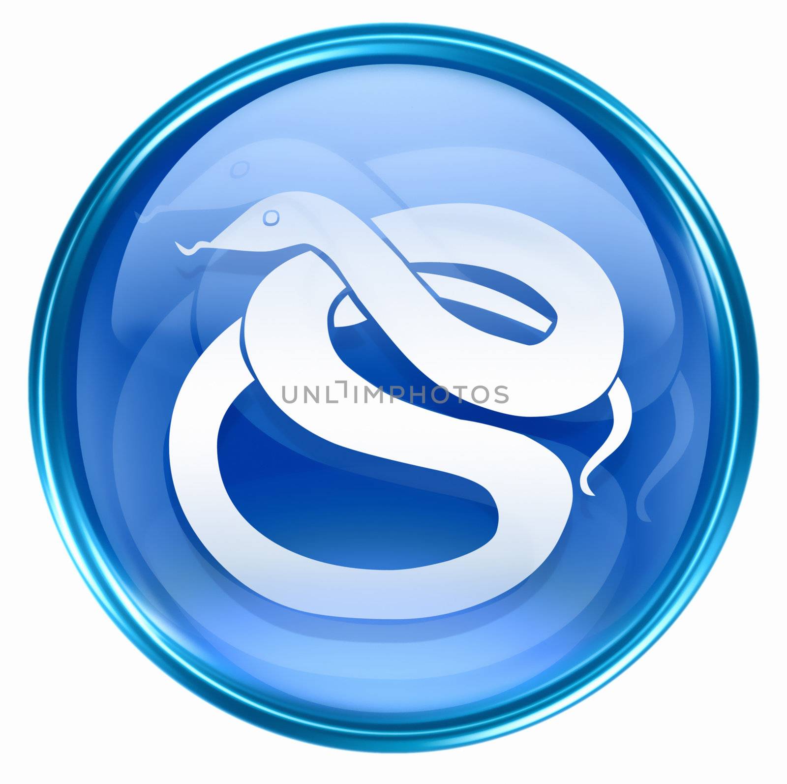 Snake Zodiac icon blue, isolated on white background. by zeffss