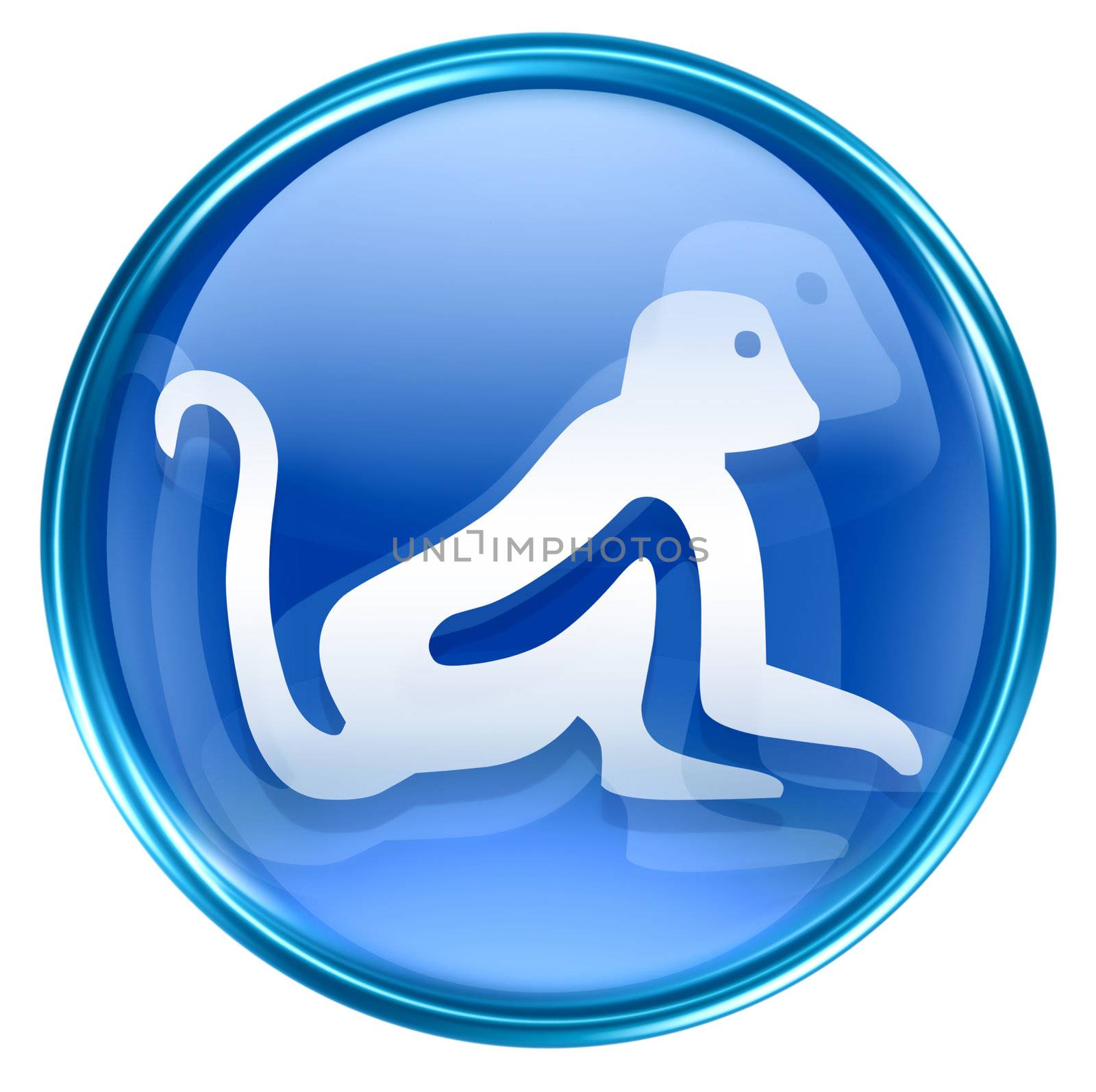 Monkey Zodiac icon blue, isolated on white background. by zeffss