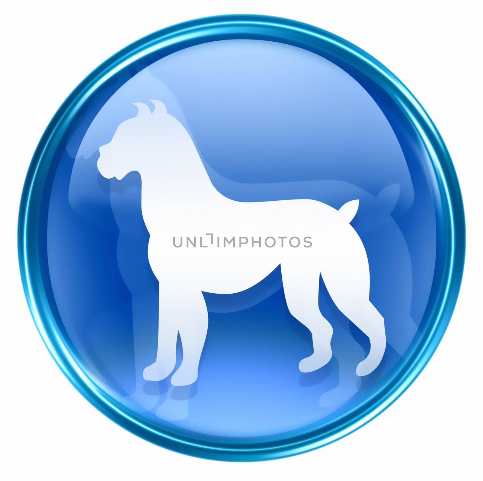 Dog Zodiac icon blue, isolated on white background. by zeffss