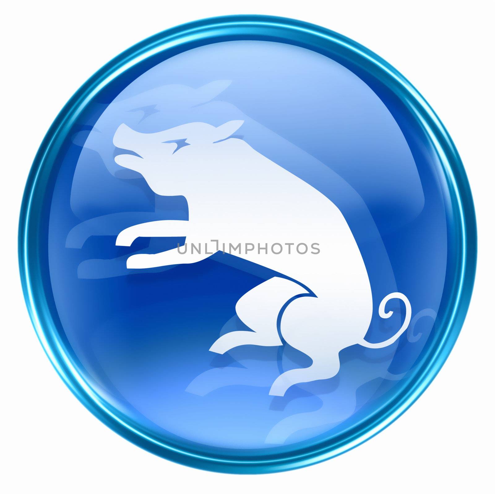 Pig Zodiac icon blue, isolated on white background. by zeffss