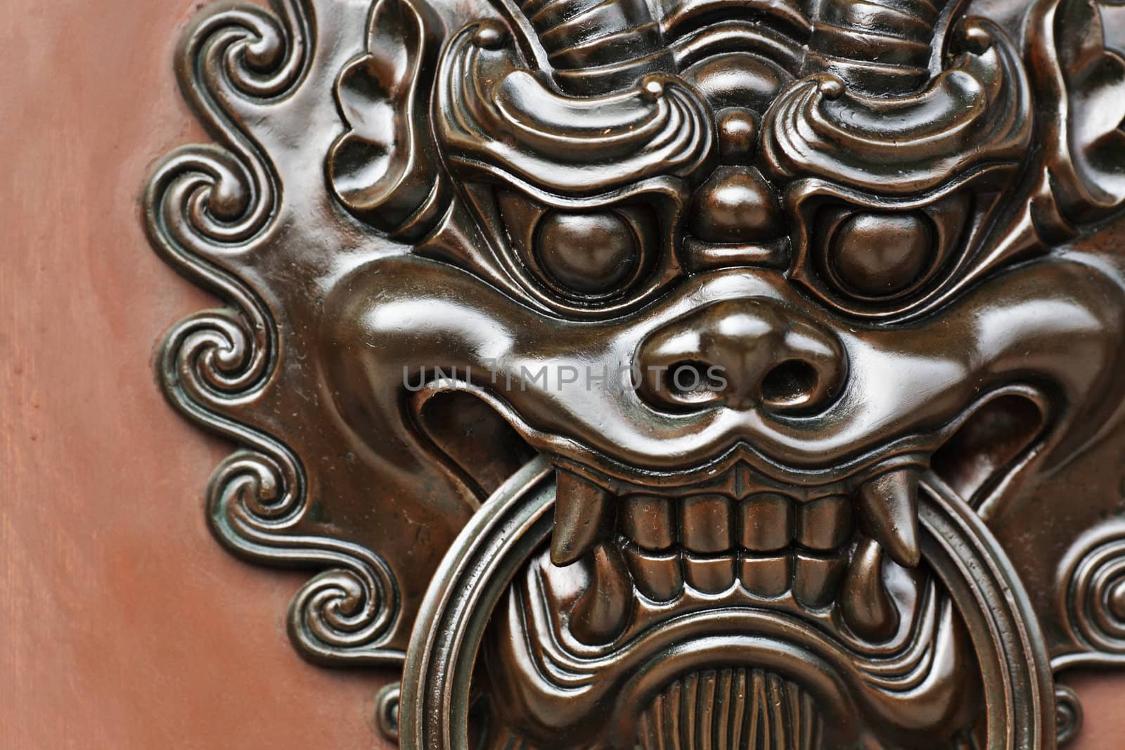 lion door knob