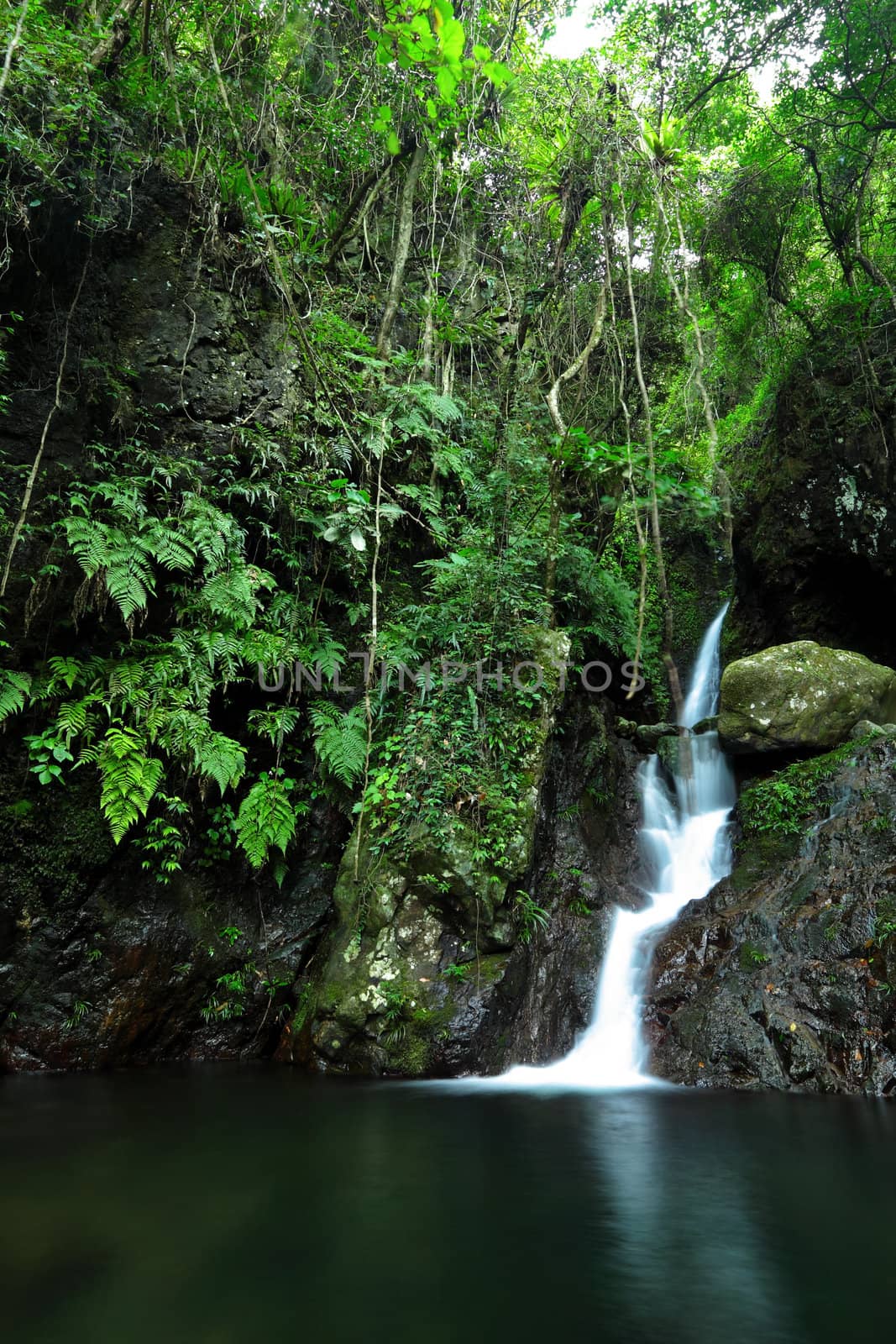 beautiful waterfall