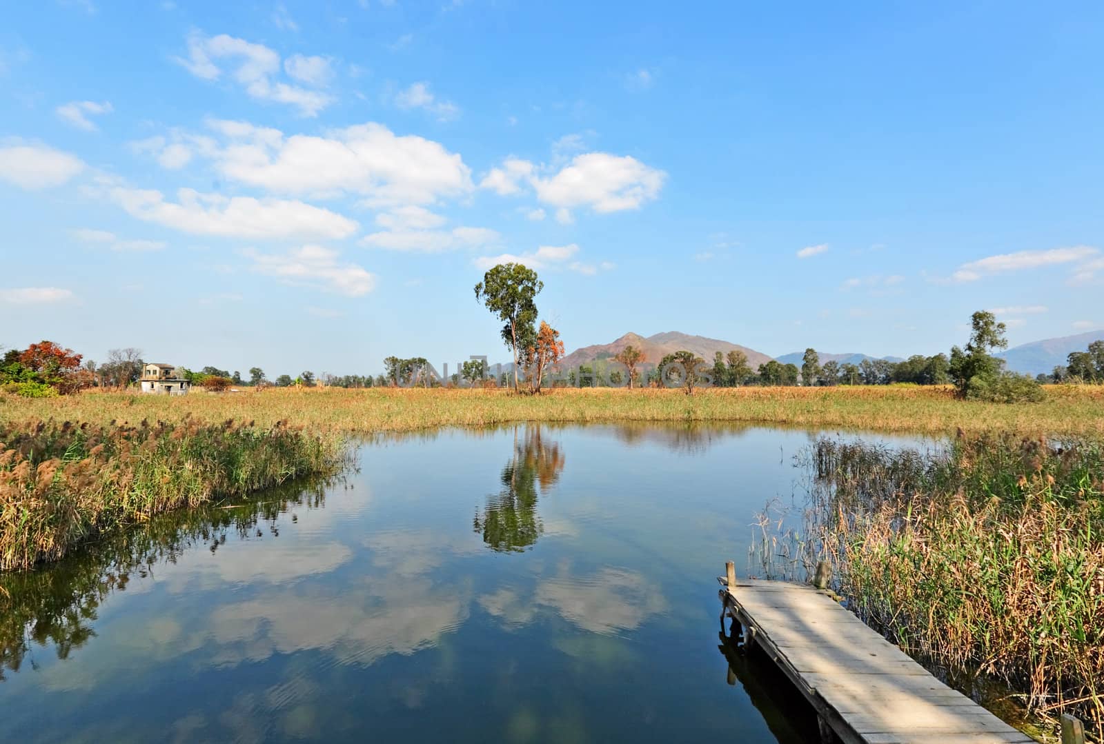 lake landscape with wooden pier