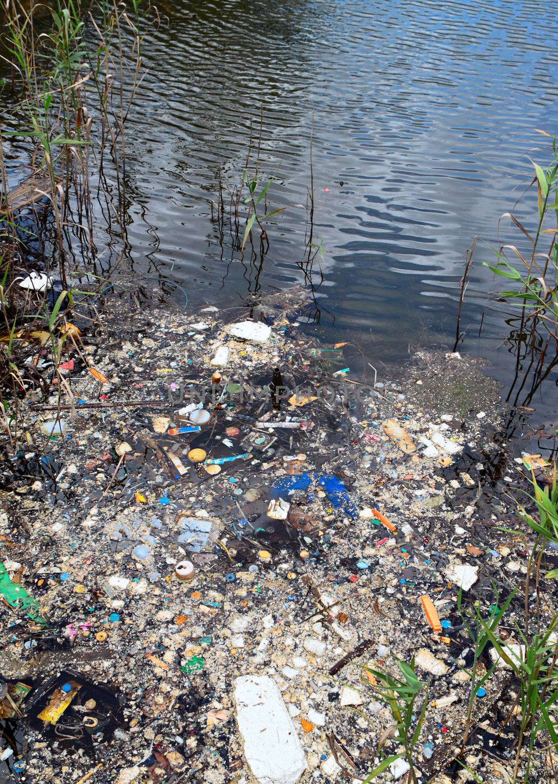 water pollution in river