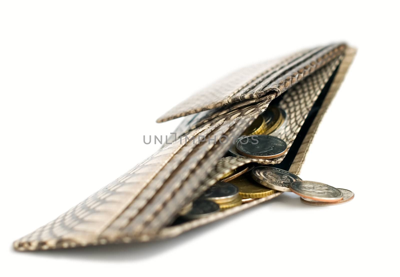 Snakeskin wallet full of coins