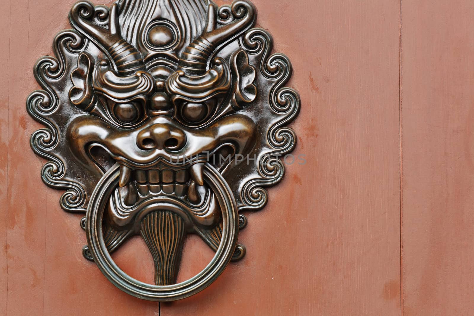 lion door knob