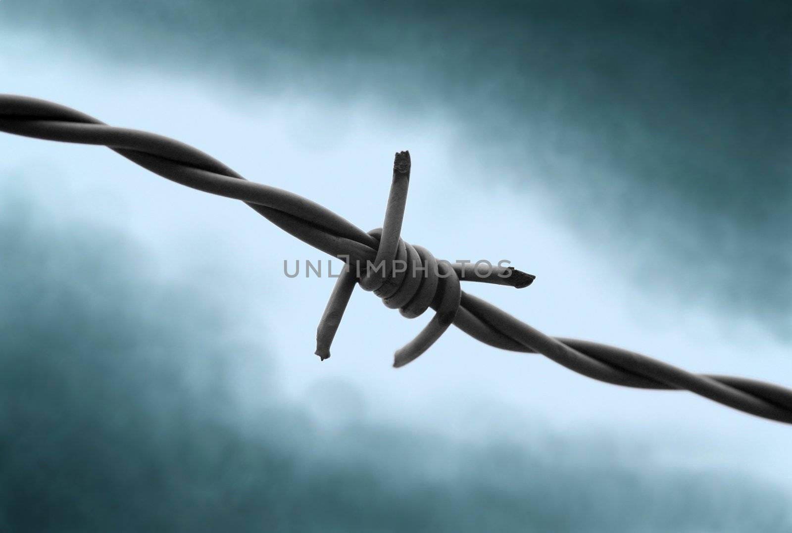 Barbed wire with dramatic background. Symbol for captivity and fear.