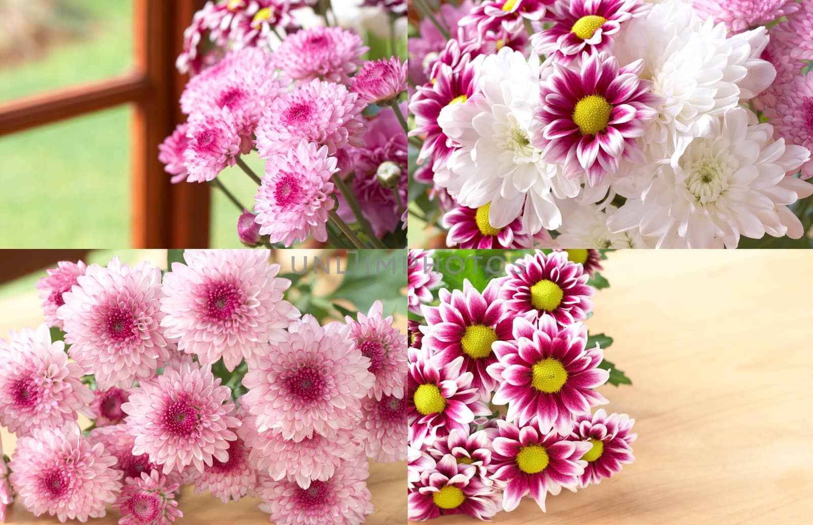 Beautiful pink and white flowers composition