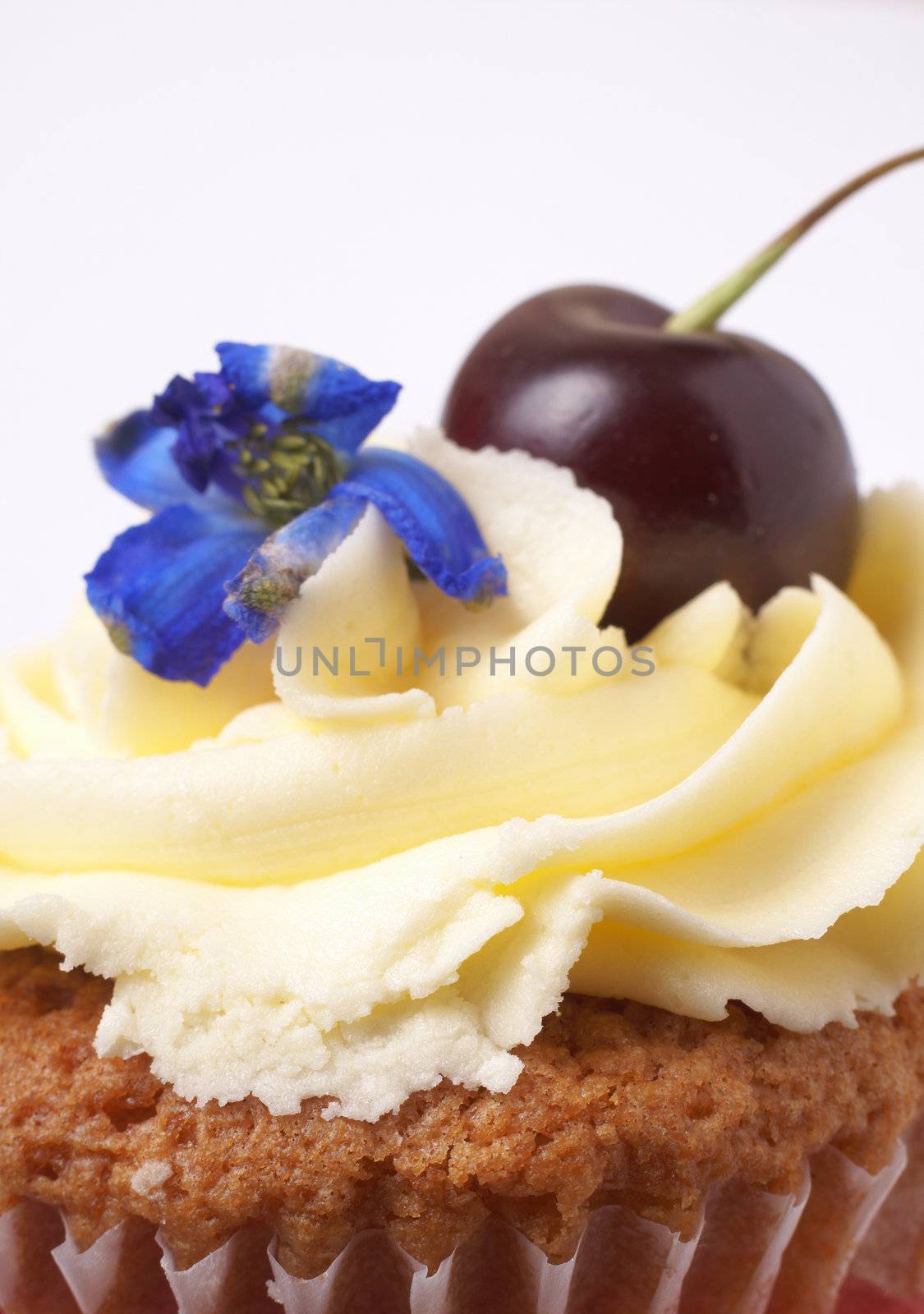 Miniature vanilla cupcake with icing, fresh cherry and blue flower on white background. Macro shot, shallow depth of field